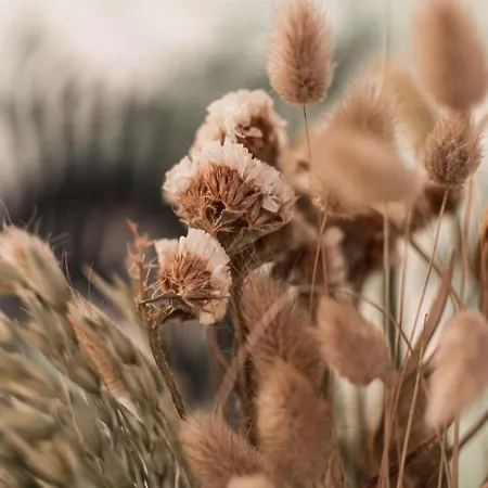 Apartmán Le Leon Bourgeois 6 Personnes Hypercentre *