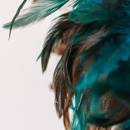 Le Leon Bourgeois 6 Personnes Hypercentre Apartmán *