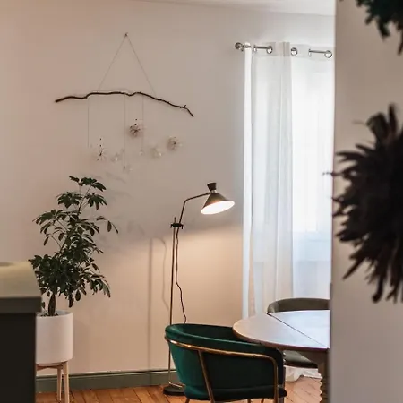 Le Leon Bourgeois 6 Personnes Hypercentre Apartment
